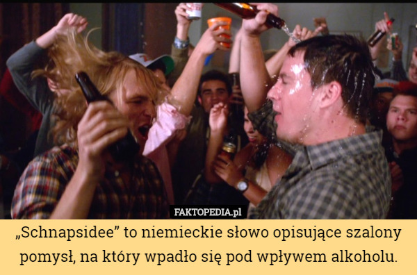 „Schnapsidee” to niemieckie słowo opisujące szalony pomysł, na który wpadło się pod wpływem alkoholu. 
