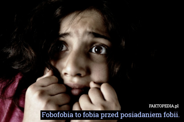 Fobofobia to fobia przed posiadaniem fobii. 
