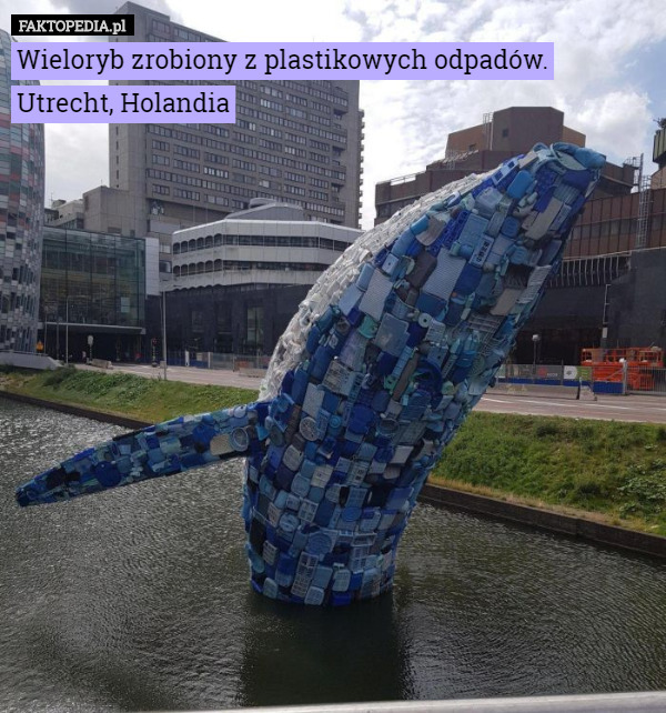 Wieloryb zrobiony z plastikowych odpadów.
Utrecht, Holandia 
