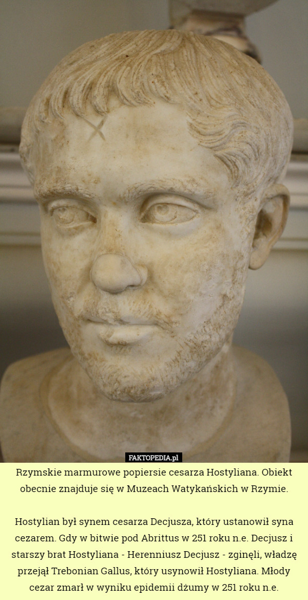 Rzymskie marmurowe popiersie cesarza Hostyliana. Obiekt obecnie znajduje się w Muzeach Watykańskich w Rzymie.

 Hostylian był synem cesarza Decjusza, który ustanowił syna cezarem. Gdy w bitwie pod Abrittus w 251 roku n.e. Decjusz i starszy brat Hostyliana - Herenniusz Decjusz - zginęli, władzę przejął Trebonian Gallus, który usynowił Hostyliana. Młody cezar zmarł w wyniku epidemii dżumy w 251 roku n.e. 