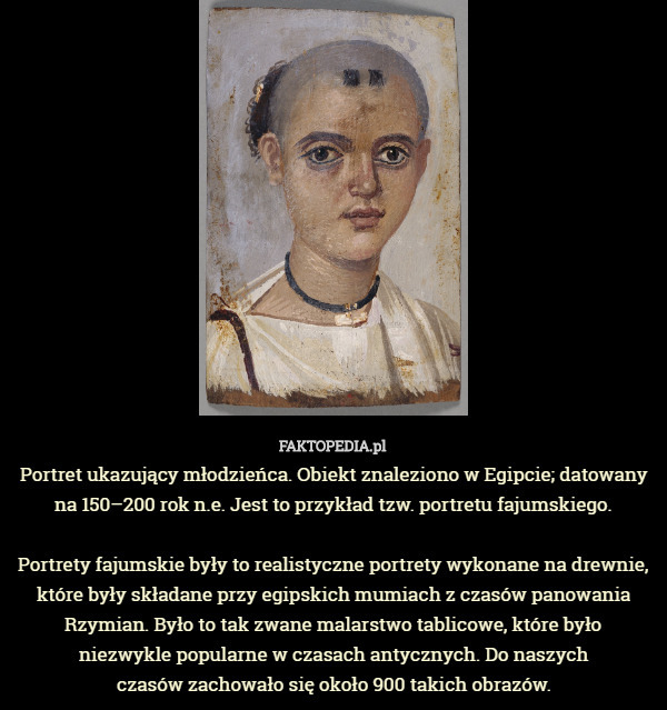 Portret ukazujący młodzieńca. Obiekt znaleziono w Egipcie; datowany na 150–200 rok n.e. Jest to przykład tzw. portretu fajumskiego.

 Portrety fajumskie były to realistyczne portrety wykonane na drewnie, które były składane przy egipskich mumiach z czasów panowania Rzymian. Było to tak zwane malarstwo tablicowe, które było
 niezwykle popularne w czasach antycznych. Do naszych
 czasów zachowało się około 900 takich obrazów. 
