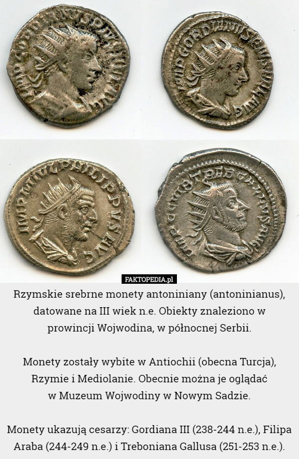 Rzymskie srebrne monety antoniniany (antoninianus), datowane na III wiek n.e. Obiekty znaleziono w
 prowincji Wojwodina, w północnej Serbii.

 Monety zostały wybite w Antiochii (obecna Turcja), Rzymie i Mediolanie. Obecnie można je oglądać
 w Muzeum Wojwodiny w Nowym Sadzie.

 Monety ukazują cesarzy: Gordiana III (238-244 n.e.), Filipa Araba (244-249 n.e.) i Treboniana Gallusa (251-253 n.e.). 