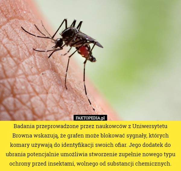 Badania przeprowadzone przez naukowców z Uniwersytetu Browna wskazują, że grafen może blokować sygnały, których komary używają do identyfikacji swoich ofiar. Jego dodatek do ubrania potencjalnie umożliwia stworzenie zupełnie nowego typu ochrony przed insektami, wolnego od substancji chemicznych. 