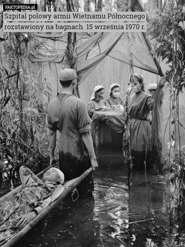 Szpital polowy armii Wietnamu Północnego rozstawiony na bagnach. 15 września 1970 r. 