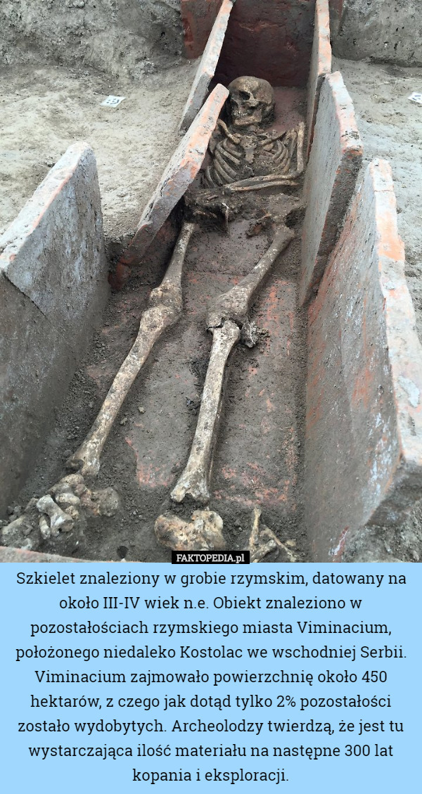 Szkielet znaleziony w grobie rzymskim, datowany na około III-IV wiek n.e. Obiekt znaleziono w pozostałościach rzymskiego miasta Viminacium, położonego niedaleko Kostolac we wschodniej Serbii.
Viminacium zajmowało powierzchnię około 450 hektarów, z czego jak dotąd tylko 2% pozostałości zostało wydobytych. Archeolodzy twierdzą, że jest tu wystarczająca ilość materiału na następne 300 lat kopania i eksploracji. 