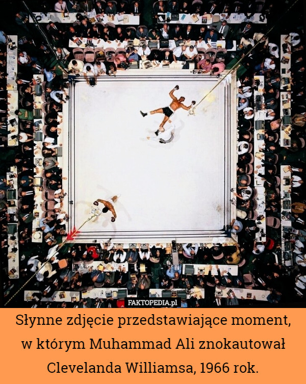Słynne zdjęcie przedstawiające moment, w którym Muhammad Ali znokautował Clevelanda Williamsa, 1966 rok. 