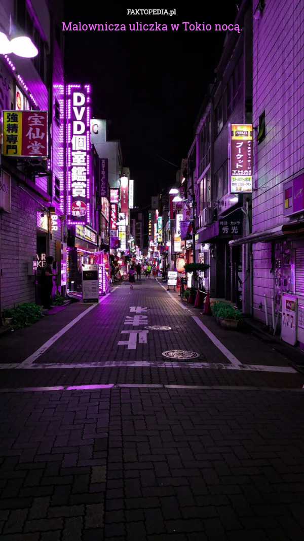 Malownicza uliczka w Tokio nocą. 