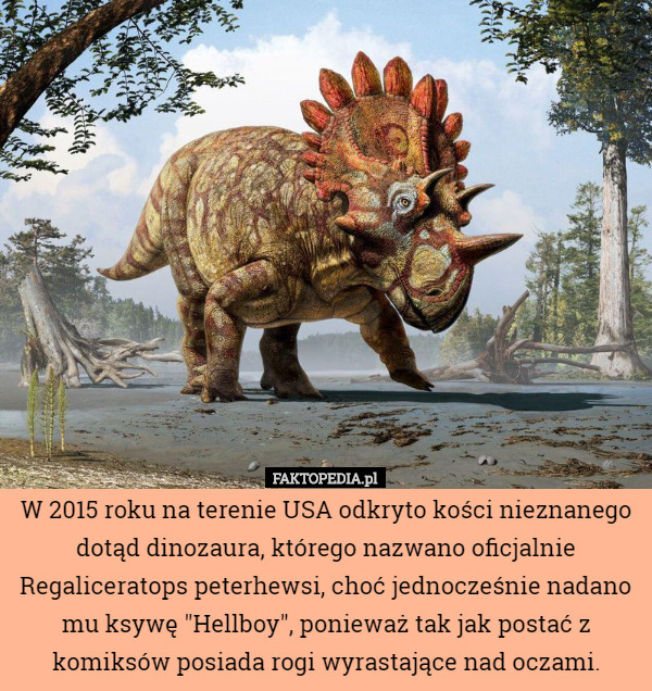 W 2015 roku na terenie USA odkryto kości nieznanego dotąd dinozaura, którego nazwano oficjalnie Regaliceratops peterhewsi, choć jednocześnie nadano mu ksywę "Hellboy", ponieważ tak jak postać z komiksów posiada rogi wyrastające nad oczami. 