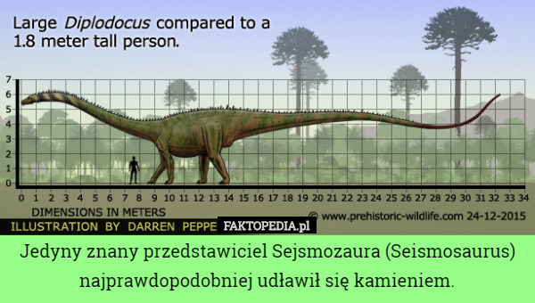 Jedyny znany przedstawiciel Sejsmozaura (Seismosaurus) najprawdopodobniej udławił się kamieniem. 