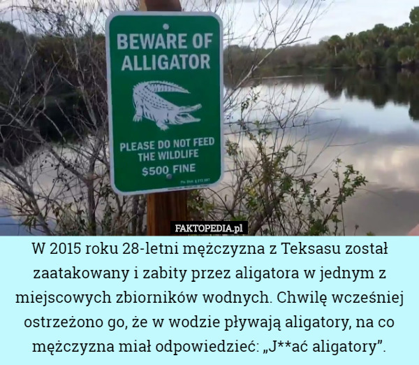 W 2015 roku 28-letni mężczyzna z Teksasu został zaatakowany i zabity przez aligatora w jednym z miejscowych zbiorników wodnych. Chwilę wcześniej ostrzeżono go, że w wodzie pływają aligatory, na co mężczyzna miał odpowiedzieć: „J**ać aligatory”. 