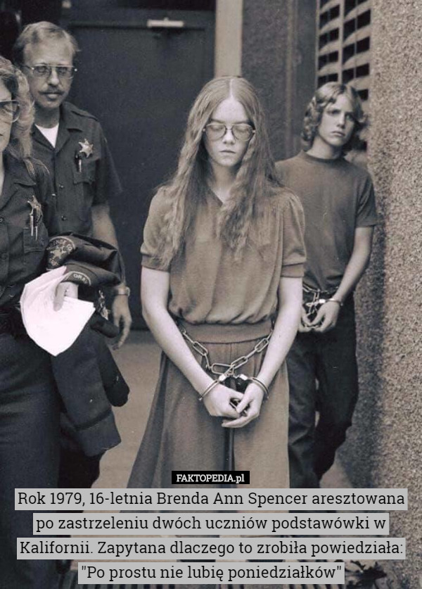 Rok 1979, 16-letnia Brenda Ann Spencer aresztowana po zastrzeleniu dwóch uczniów podstawówki w Kalifornii. Zapytana dlaczego to zrobiła powiedziała: "Po prostu nie lubię poniedziałków" 