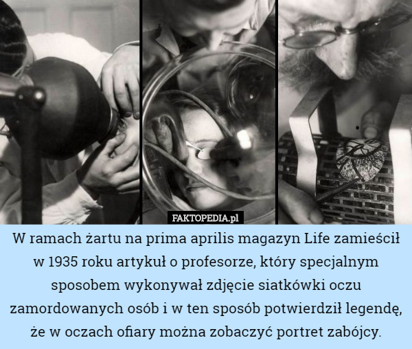W ramach żartu na prima aprilis magazyn Life zamieścił w 1935 roku artykuł o profesorze, który specjalnym sposobem wykonywał zdjęcie siatkówki oczu zamordowanych osób i w ten sposób potwierdził legendę, że w oczach ofiary można zobaczyć portret zabójcy. 