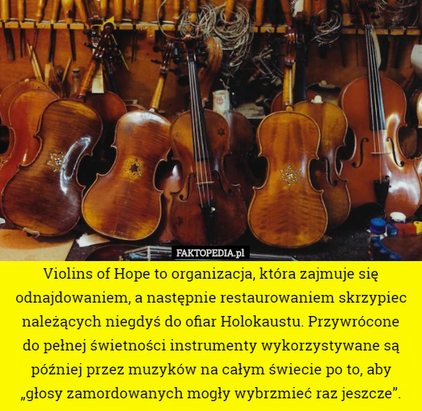 Violins of Hope to organizacja, która zajmuje się odnajdowaniem, a następnie restaurowaniem skrzypiec należących niegdyś do ofiar Holokaustu. Przywrócone
 do pełnej świetności instrumenty wykorzystywane są później przez muzyków na całym świecie po to, aby „głosy zamordowanych mogły wybrzmieć raz jeszcze”. 