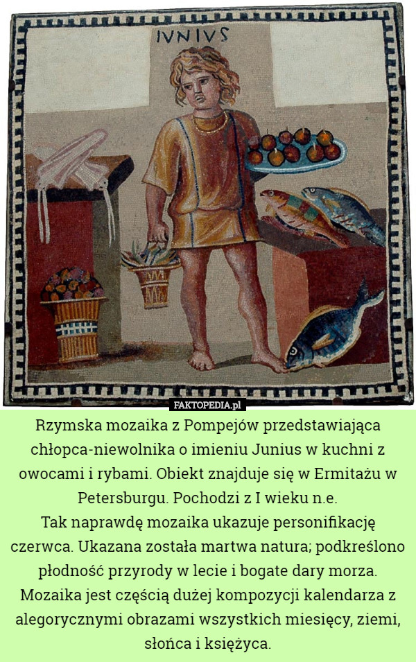 Rzymska mozaika z Pompejów przedstawiająca chłopca-niewolnika o imieniu Junius w kuchni z owocami i rybami. Obiekt znajduje się w Ermitażu w Petersburgu. Pochodzi z I wieku n.e.
Tak naprawdę mozaika ukazuje personifikację czerwca. Ukazana została martwa natura; podkreślono płodność przyrody w lecie i bogate dary morza. Mozaika jest częścią dużej kompozycji kalendarza z alegorycznymi obrazami wszystkich miesięcy, ziemi, słońca i księżyca. 