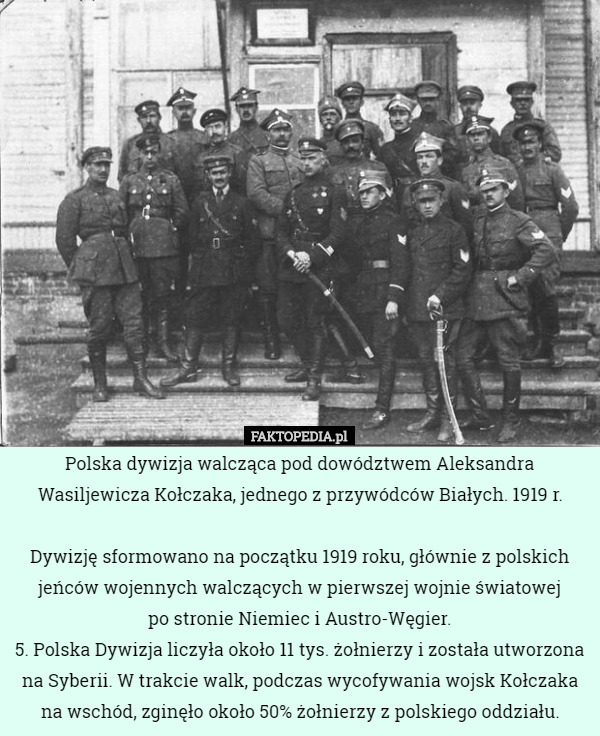 Polska dywizja walcząca pod dowództwem Aleksandra Wasiljewicza Kołczaka, jednego z przywódców Białych. 1919 r.

Dywizję sformowano na początku 1919 roku, głównie z polskich jeńców wojennych walczących w pierwszej wojnie światowej
 po stronie Niemiec i Austro-Węgier.
5. Polska Dywizja liczyła około 11 tys. żołnierzy i została utworzona na Syberii. W trakcie walk, podczas wycofywania wojsk Kołczaka na wschód, zginęło około 50% żołnierzy z polskiego oddziału. 