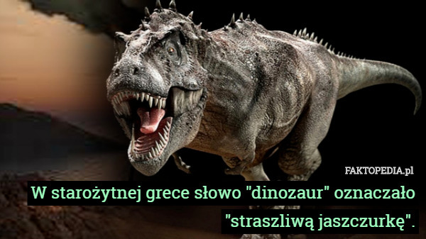 W starożytnej grece słowo "dinozaur" oznaczało "straszliwą jaszczurkę". 