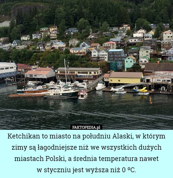 Ketchikan to miasto na południu Alaski, w którym zimy są łagodniejsze niż we wszystkich dużych miastach Polski, a średnia temperatura nawet
 w styczniu jest wyższa niż 0 ºC. 