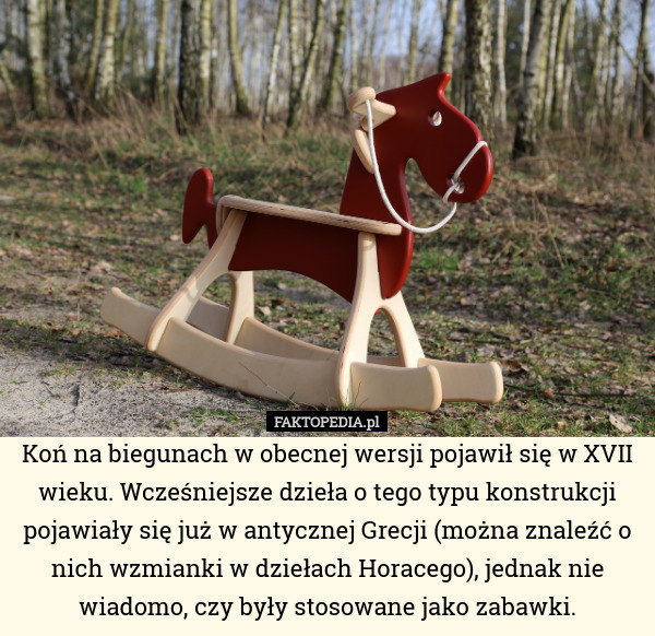 Koń na biegunach w obecnej wersji pojawił się w XVII wieku. Wcześniejsze dzieła o tego typu konstrukcji pojawiały się już w antycznej Grecji (można znaleźć o nich wzmianki w dziełach Horacego), jednak nie wiadomo, czy były stosowane jako zabawki. 