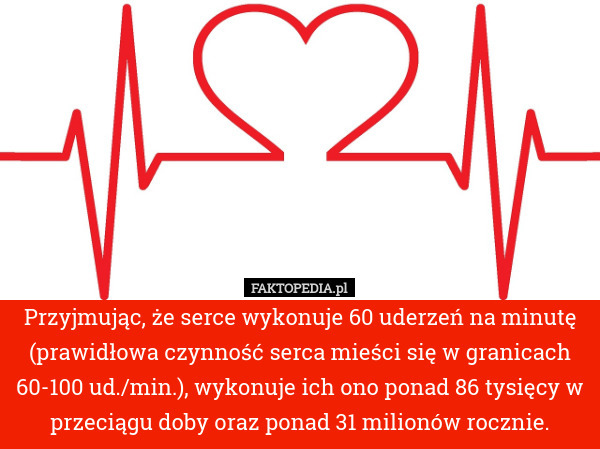 Przyjmując, że serce wykonuje 60 uderzeń na minutę (prawidłowa czynność serca mieści się w granicach 60-100 ud./min.), wykonuje ich ono ponad 86 tysięcy w przeciągu doby oraz ponad 31 milionów rocznie. 
