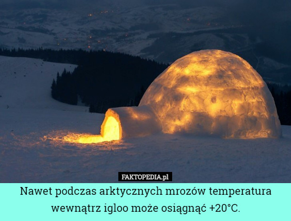 Nawet podczas arktycznych mrozów temperatura wewnątrz igloo może osiągnąć +20°C. 