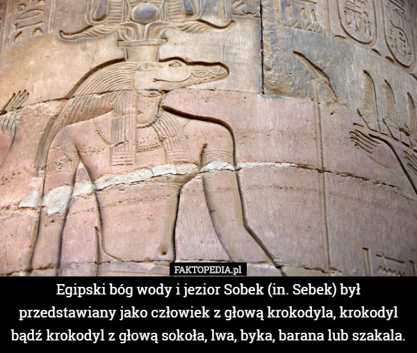 Egipski bóg wody i jezior Sobek (in. Sebek) był przedstawiany jako człowiek z głową krokodyla, krokodyl bądź krokodyl z głową sokoła, lwa, byka, barana lub szakala. 