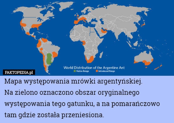Mapa występowania mrówki argentyńskiej.
Na zielono oznaczono obszar oryginalnego występowania tego gatunku, a na pomarańczowo tam gdzie została przeniesiona. 