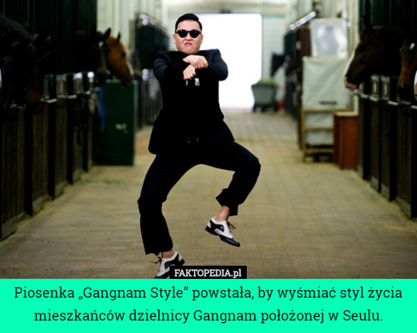Piosenka „Gangnam Style” powstała, by wyśmiać styl życia mieszkańców dzielnicy Gangnam położonej w Seulu. 