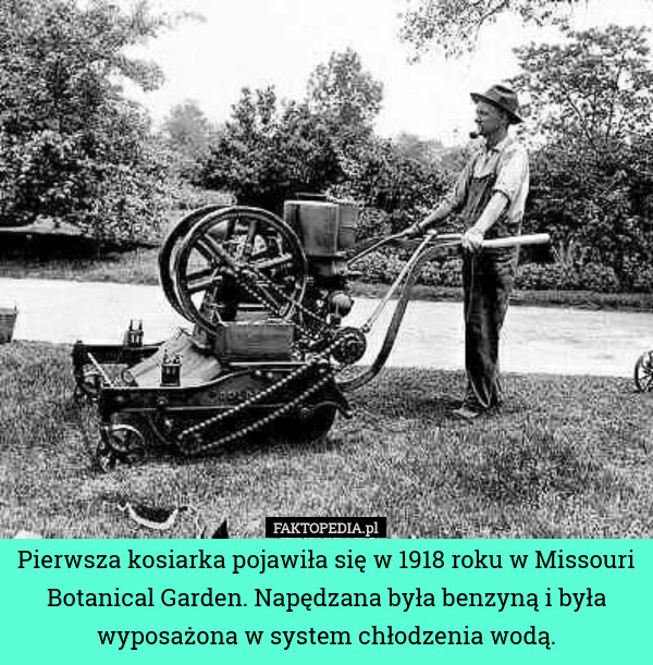 Pierwsza kosiarka pojawiła się w 1918 roku w Missouri Botanical Garden. Napędzana była benzyną i była wyposażona w system chłodzenia wodą. 
