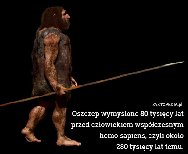 Oszczep wymyślono 80 tysięcy lat
 przed człowiekiem współczesnym
 homo sapiens, czyli około
 280 tysięcy lat temu. 