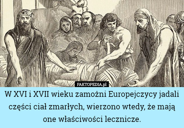 W XVI i XVII wieku zamożni Europejczycy jadali części ciał zmarłych, wierzono wtedy, że mają one właściwości lecznicze. 