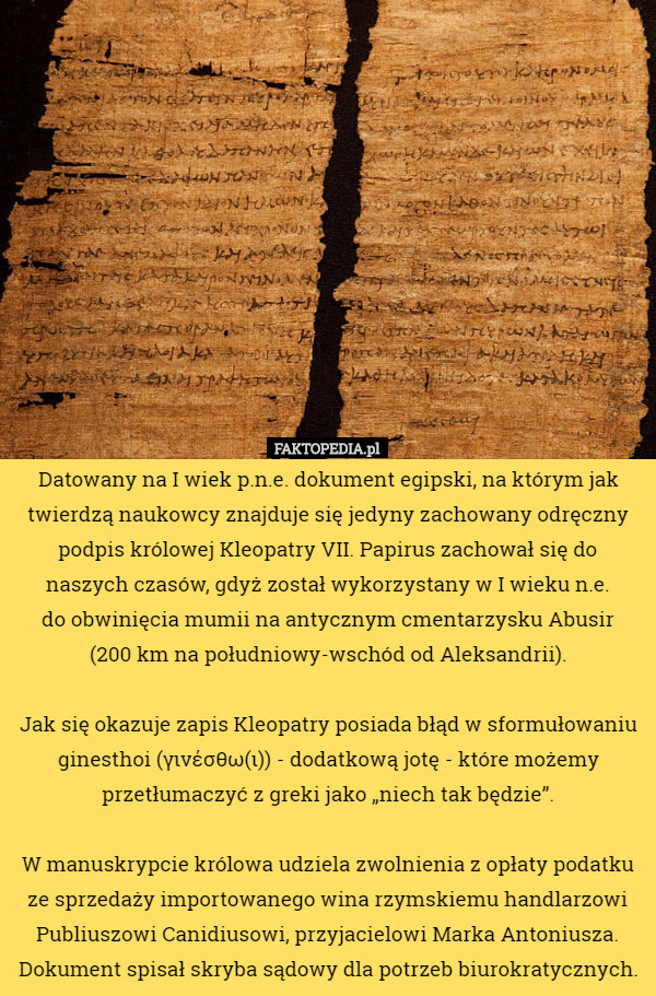 Datowany na I wiek p.n.e. dokument egipski, na którym jak twierdzą naukowcy znajduje się jedyny zachowany odręczny podpis królowej Kleopatry VII. Papirus zachował się do naszych czasów, gdyż został wykorzystany w I wieku n.e.
 do obwinięcia mumii na antycznym cmentarzysku Abusir
 (200 km na południowy-wschód od Aleksandrii).

 Jak się okazuje zapis Kleopatry posiada błąd w sformułowaniu ginesthoi (γινέσθω(ι)) - dodatkową jotę - które możemy przetłumaczyć z greki jako „niech tak będzie”.

 W manuskrypcie królowa udziela zwolnienia z opłaty podatku ze sprzedaży importowanego wina rzymskiemu handlarzowi Publiuszowi Canidiusowi, przyjacielowi Marka Antoniusza. Dokument spisał skryba sądowy dla potrzeb biurokratycznych. 