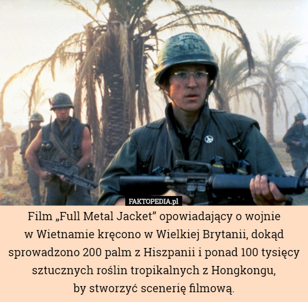 Film „Full Metal Jacket” opowiadający o wojnie
 w Wietnamie kręcono w Wielkiej Brytanii, dokąd sprowadzono 200 palm z Hiszpanii i ponad 100 tysięcy sztucznych roślin tropikalnych z Hongkongu,
by stworzyć scenerię filmową. 