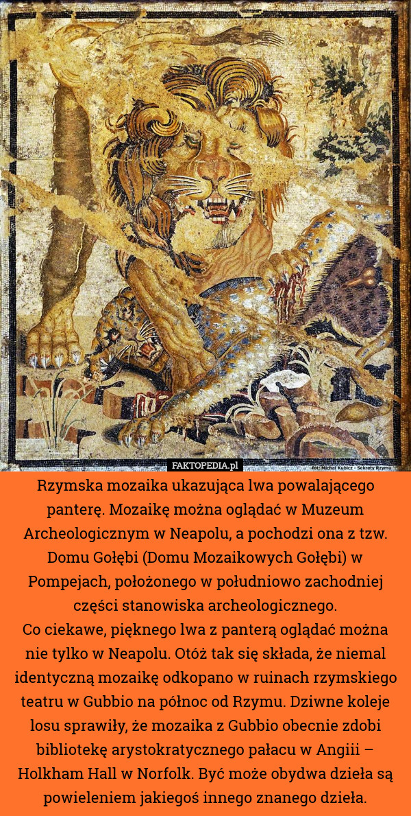 Rzymska mozaika ukazująca lwa powalającego panterę. Mozaikę można oglądać w Muzeum Archeologicznym w Neapolu, a pochodzi ona z tzw. Domu Gołębi (Domu Mozaikowych Gołębi) w Pompejach, położonego w południowo zachodniej części stanowiska archeologicznego.
Co ciekawe, pięknego lwa z panterą oglądać można nie tylko w Neapolu. Otóż tak się składa, że niemal identyczną mozaikę odkopano w ruinach rzymskiego teatru w Gubbio na północ od Rzymu. Dziwne koleje losu sprawiły, że mozaika z Gubbio obecnie zdobi bibliotekę arystokratycznego pałacu w Angiii – Holkham Hall w Norfolk. Być może obydwa dzieła są powieleniem jakiegoś innego znanego dzieła. 