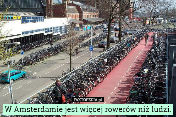 W Amsterdamie jest więcej rowerów niż ludzi. 