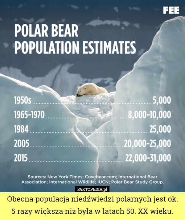 Obecna populacja niedźwiedzi polarnych jest ok. 5 razy większa niż była w latach 50. XX wieku. 