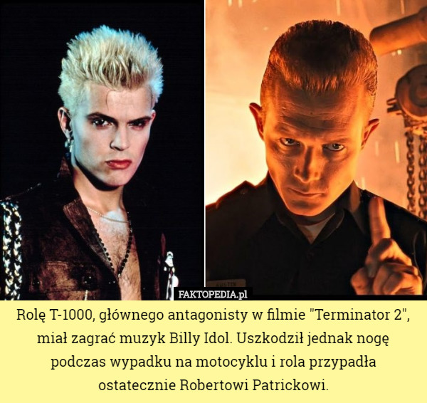 Rolę T-1000, głównego antagonisty w filmie "Terminator 2", miał zagrać muzyk Billy Idol. Uszkodził jednak nogę podczas wypadku na motocyklu i rola przypadła ostatecznie Robertowi Patrickowi. 