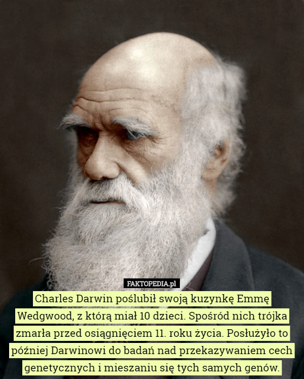 Charles Darwin poślubił swoją kuzynkę Emmę Wedgwood, z którą miał 10 dzieci. Spośród nich trójka zmarła przed osiągnięciem 11. roku życia. Posłużyło to później Darwinowi do badań nad przekazywaniem cech genetycznych i mieszaniu się tych samych genów. 