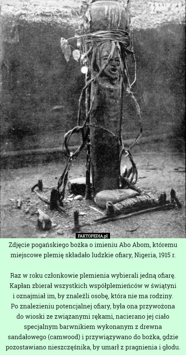 Zdjęcie pogańskiego bożka o imieniu Abo Abom, któremu miejscowe plemię składało ludzkie ofiary, Nigeria, 1915 r.

Raz w roku członkowie plemienia wybierali jedną ofiarę. Kapłan zbierał wszystkich współplemieńców w świątyni
 i oznajmiał im, by znaleźli osobę, która nie ma rodziny.
 Po znalezieniu potencjalnej ofiary, była ona przywożona
 do wioski ze związanymi rękami, nacierano jej ciało specjalnym barwnikiem wykonanym z drewna sandałowego (camwood) i przywiązywano do bożka, gdzie pozostawiano nieszczęśnika, by umarł z pragnienia i głodu. 