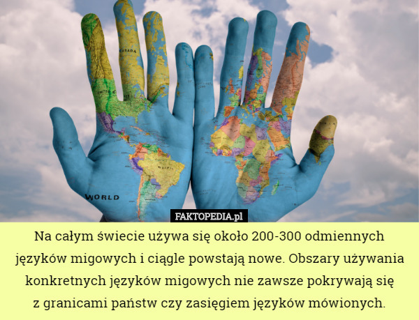 Na całym świecie używa się około 200-300 odmiennych języków migowych i ciągle powstają nowe. Obszary używania konkretnych języków migowych nie zawsze pokrywają się
 z granicami państw czy zasięgiem języków mówionych. 