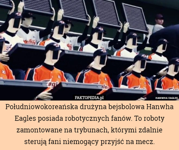 Południowokoreańska drużyna bejsbolowa Hanwha Eagles posiada robotycznych fanów. To roboty zamontowane na trybunach, którymi zdalnie sterują fani niemogący przyjść na mecz. 