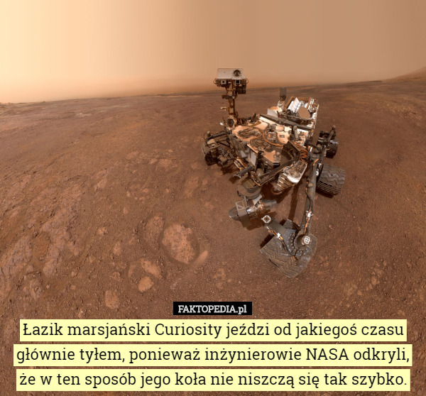 Łazik marsjański Curiosity jeździ od jakiegoś czasu głównie tyłem, ponieważ inżynierowie NASA odkryli, że w ten sposób jego koła nie niszczą się tak szybko. 