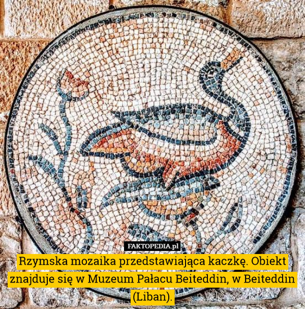 Rzymska mozaika przedstawiająca kaczkę. Obiekt znajduje się w Muzeum Pałacu Beiteddin, w Beiteddin (Liban). 