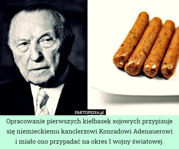 Opracowanie pierwszych kiełbasek sojowych przypisuje się niemieckiemu kanclerzowi Konradowi Adenauerowi
 i miało ono przypadać na okres I wojny światowej. 