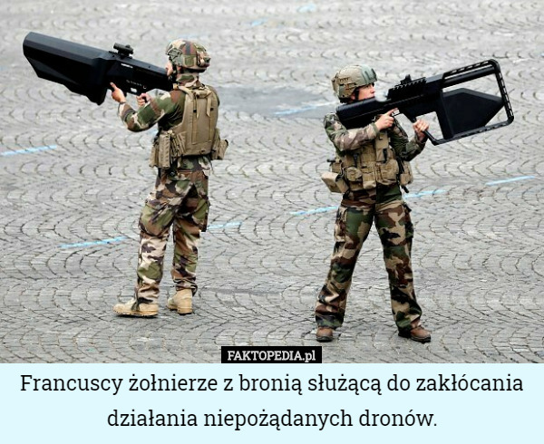 Francuscy żołnierze z bronią służącą do zakłócania działania niepożądanych dronów. 
