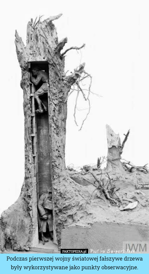 Podczas pierwszej wojny światowej fałszywe drzewa były wykorzystywane jako punkty obserwacyjne. 