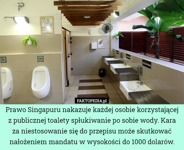 Prawo Singapuru nakazuje każdej osobie korzystającej z publicznej toalety spłukiwanie po sobie wody. Kara za niestosowanie się do przepisu może skutkować nałożeniem mandatu w wysokości do 1000 dolarów. 