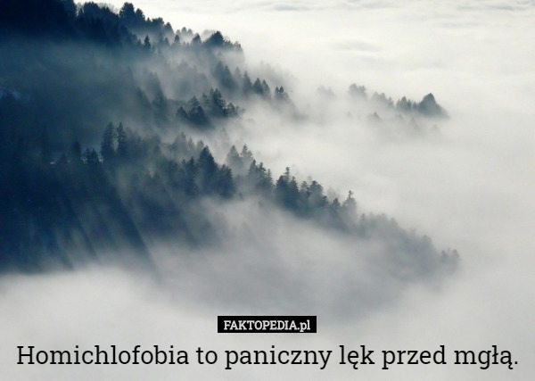 Homichlofobia to paniczny lęk przed mgłą. 