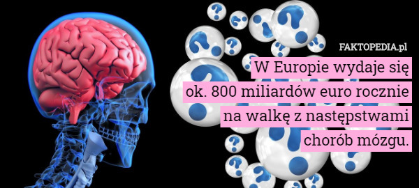 W Europie wydaje się
 ok. 800 miliardów euro rocznie
 na walkę z następstwami
 chorób mózgu. 