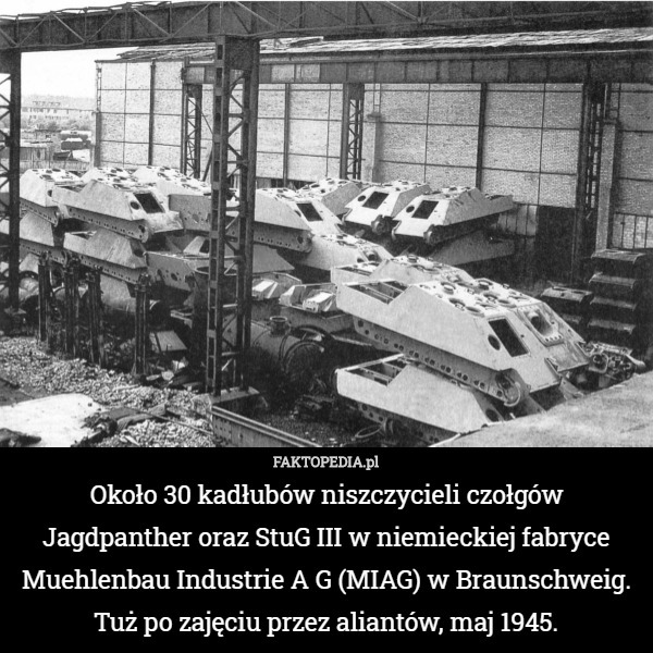 Około 30 kadłubów niszczycieli czołgów Jagdpanther oraz StuG III w niemieckiej fabryce Muehlenbau Industrie A G (MIAG) w Braunschweig. Tuż po zajęciu przez aliantów, maj 1945. 