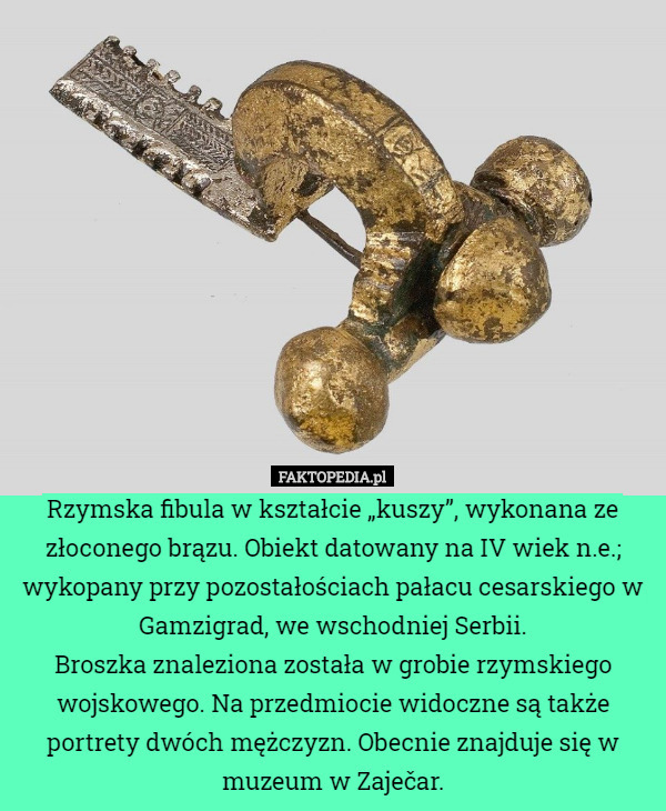 Rzymska fibula w kształcie „kuszy”, wykonana ze złoconego brązu. Obiekt datowany na IV wiek n.e.; wykopany przy pozostałościach pałacu cesarskiego w Gamzigrad, we wschodniej Serbii.
Broszka znaleziona została w grobie rzymskiego wojskowego. Na przedmiocie widoczne są także portrety dwóch mężczyzn. Obecnie znajduje się w muzeum w Zaječar. 